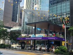 Ngee Ann City Tower A (D9), Shop House #559195661